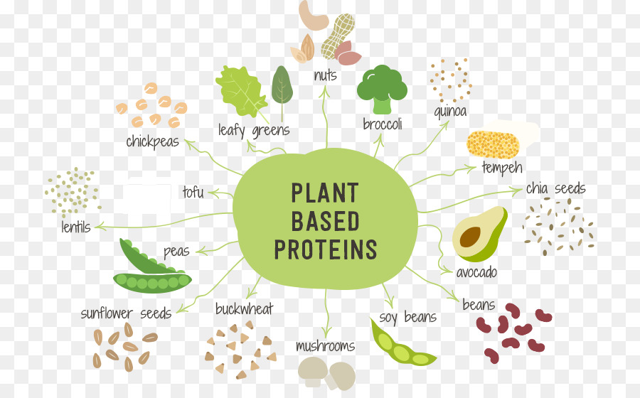 Plantbased الغذائي，النظام الغذائي PNG