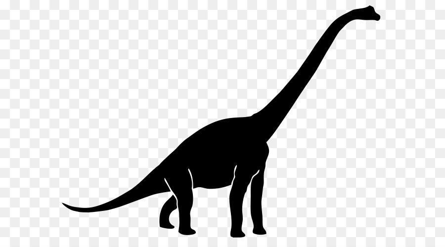 Diplodocus，Tyrannosaurus PNG