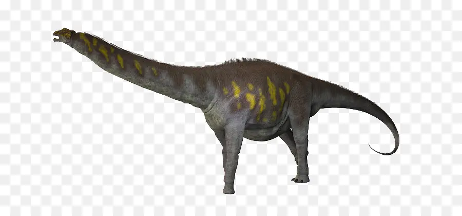 Argentinosaurus，Titanosaurus PNG