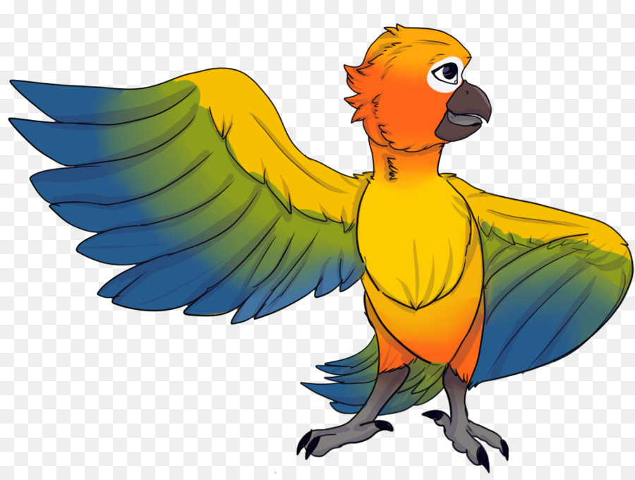 ماكاو，طائر الحب PNG