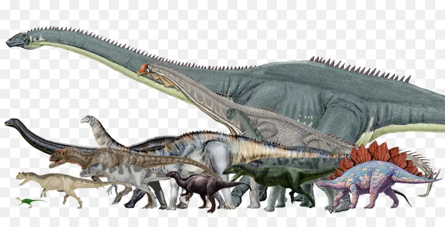 Amphicoelias，ديناصور حجم PNG