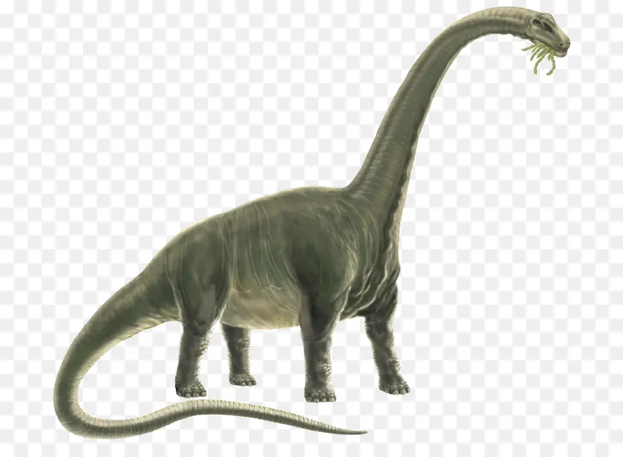 ديناصور，حيوان PNG