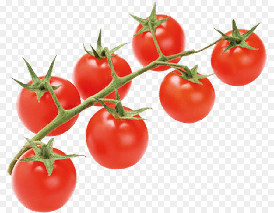 البرقوق الطماطم，طماطم PNG