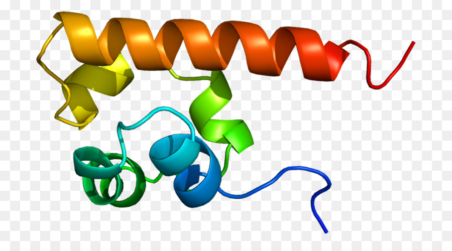 بروتين هيليكس，جزيء PNG