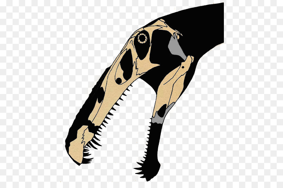 Irritator，سبينوصور PNG