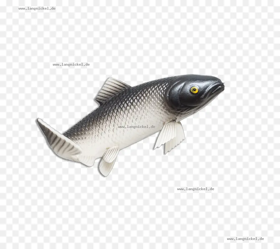 اللبن，الأسماك PNG