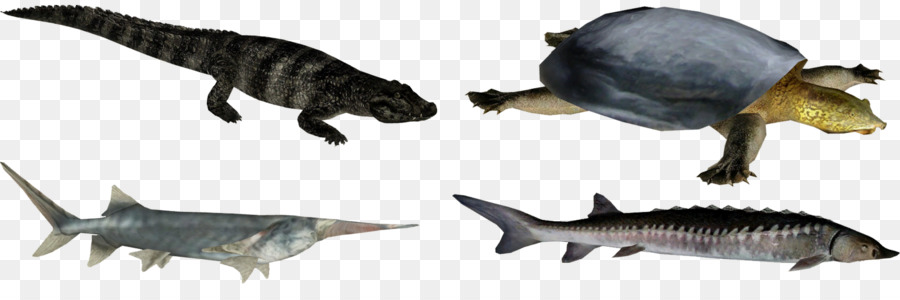 الحيوانات الأرضية，ديناصور PNG