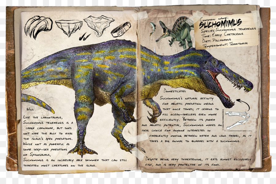 الفلك البقاء على قيد الحياة تطورت，الديناصور PNG