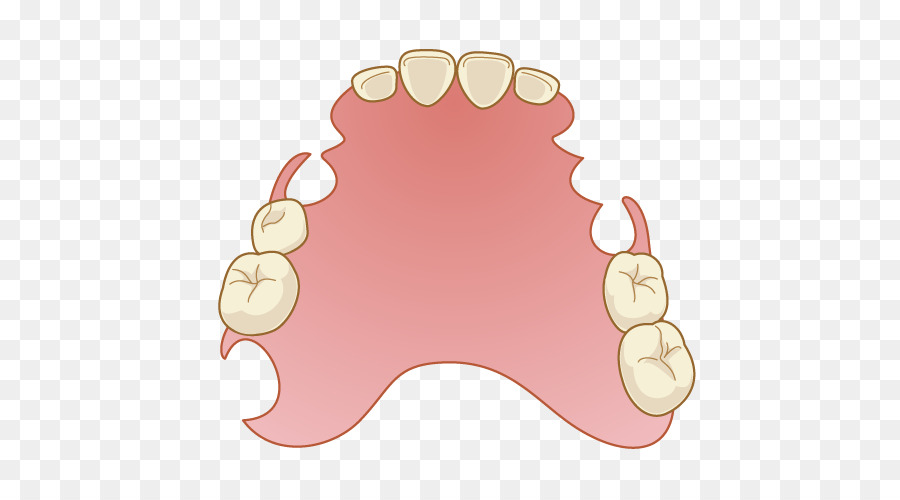 طبيب الأسنان，أطقم الأسنان PNG