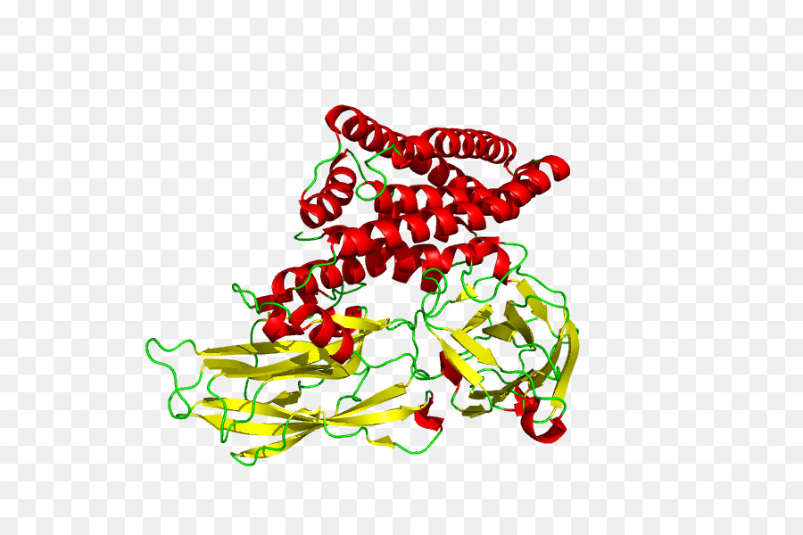 هيكل البروتين，جزيء PNG