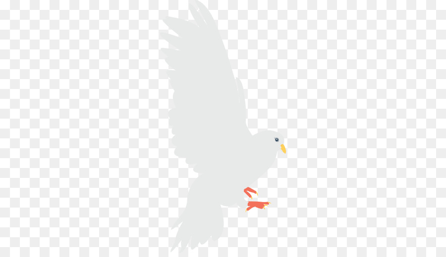 كولومبيدا，طائر PNG