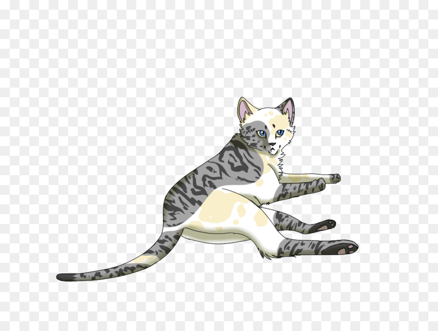 القط العانس，الرسم PNG
