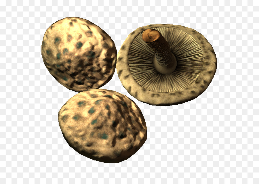 Elder Scrolls V Skyrim Dragonborn，Pholiota PNG