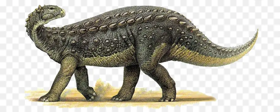 الديناصور，Scelidosaurus PNG