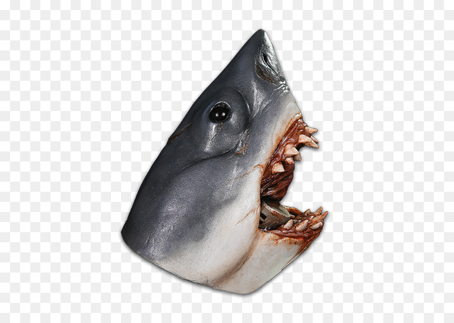 القرش，أسماك القرش لاند PNG