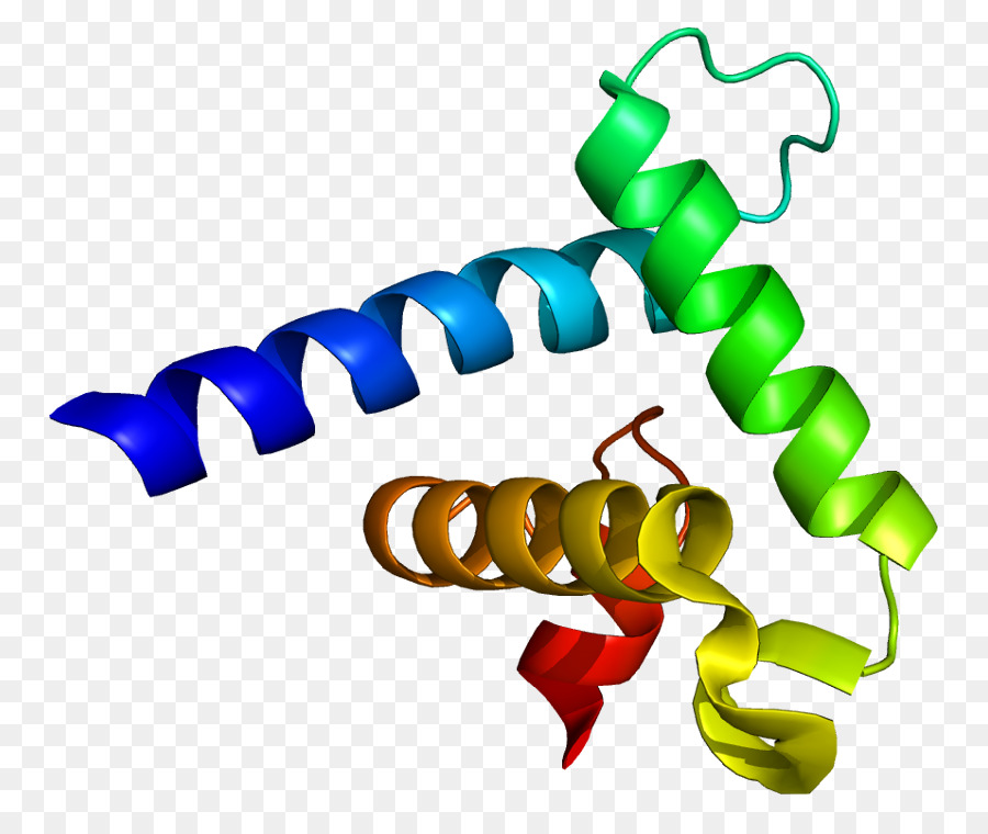 Crebbinding البروتين，P300cbp Coactivator الأسرة PNG