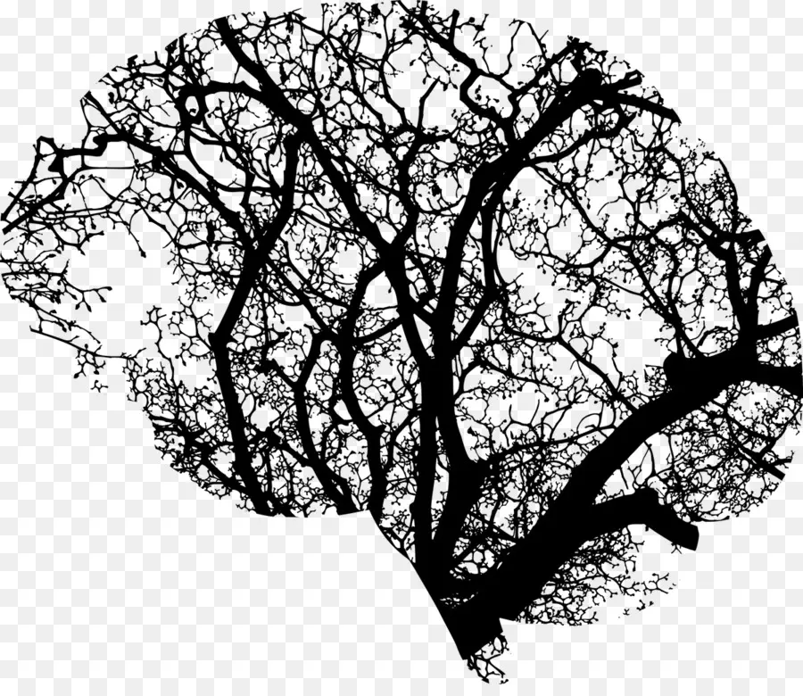 الدماغ，شجرة PNG