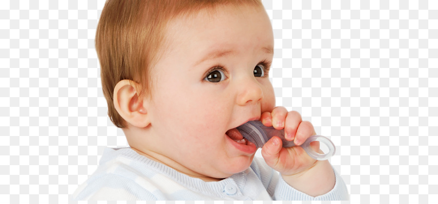 الرضع，الأسنان PNG
