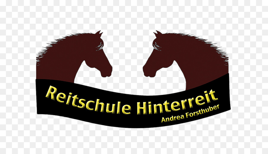 Reitschule Hinterreit أندريا Forsthuber，موستانج PNG