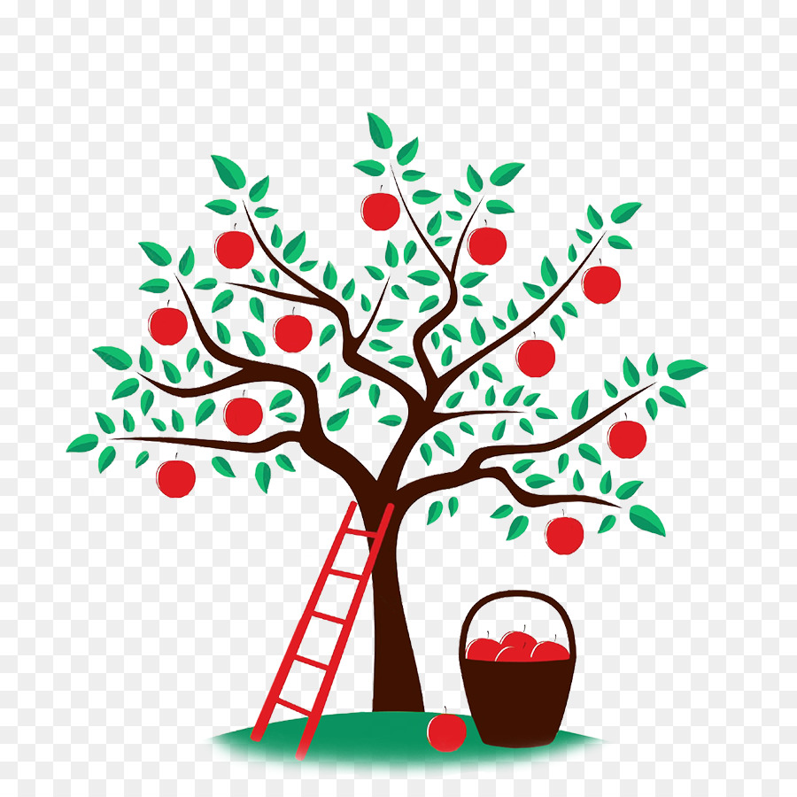 رسم شجرة تفاح