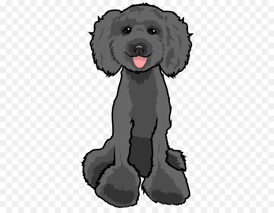 Schnoodle，جرو PNG