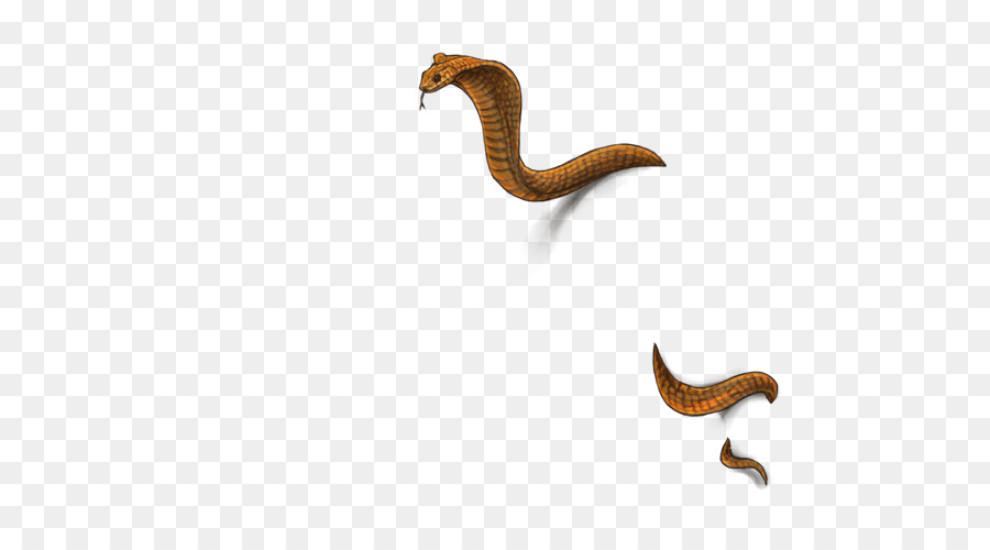 الزواحف，Worm PNG