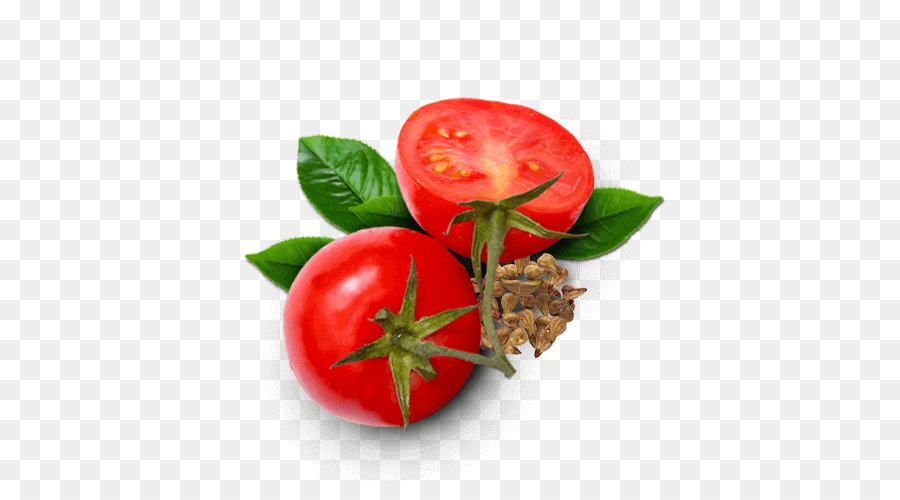 طماطم，طعام PNG