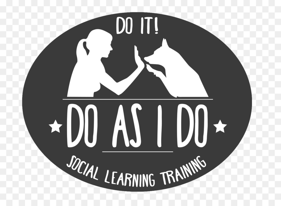 تفعل كما أفعل أنا باستخدام التعلم الاجتماعي لتدريب الكلاب，الكلب PNG