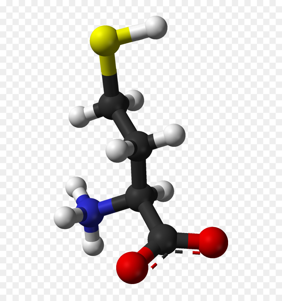 الحمض الاميني，جزيء PNG