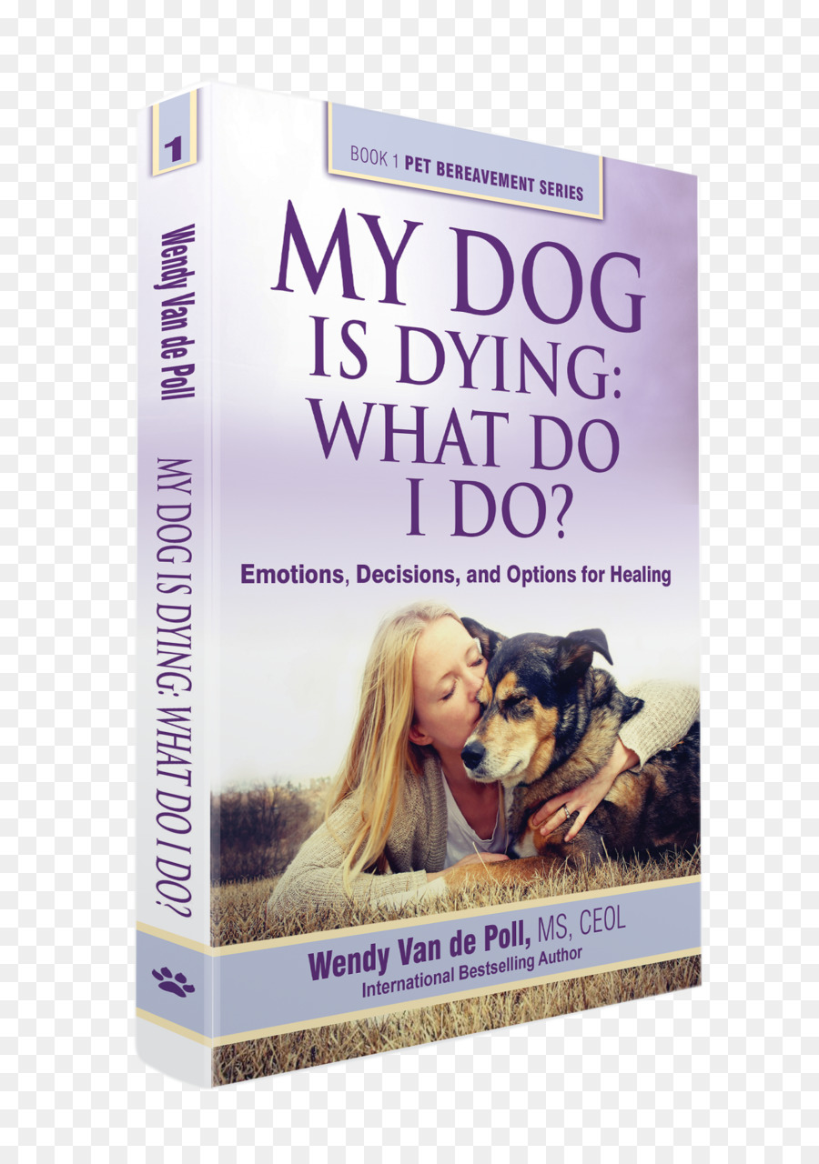 كلبي يموت العواطف قرارات وخيارات الشفاء ماذا أفعل，الكلب PNG