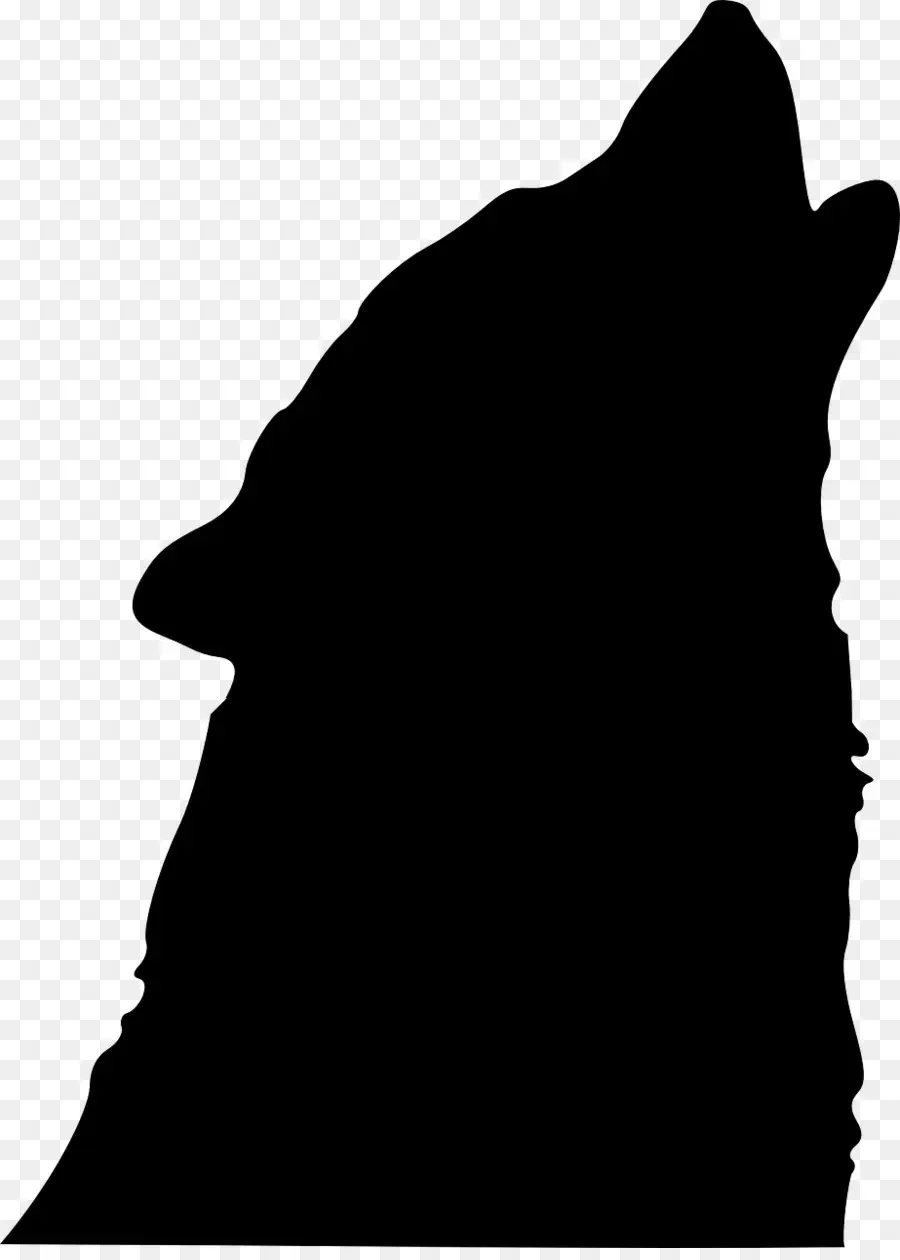 الذئب الرمادي，صورة ظلية ، PNG