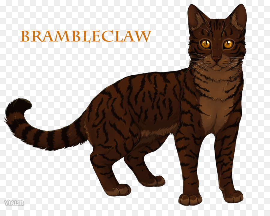 المحاربين，Brambleclaw PNG