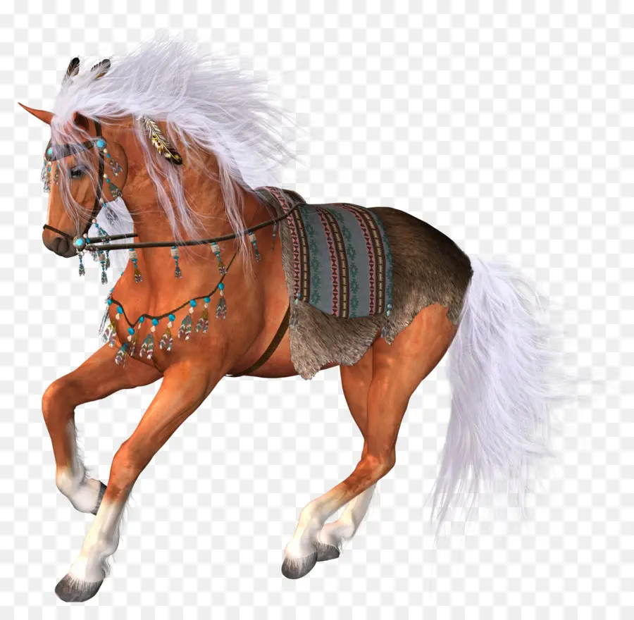 الحصان，الصور مع PNG