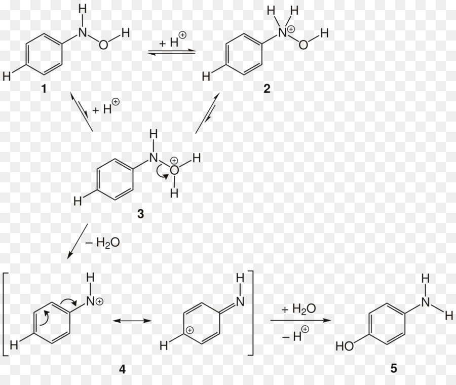 بامبيرجر ترتيب，Phenylhydroxylamine PNG