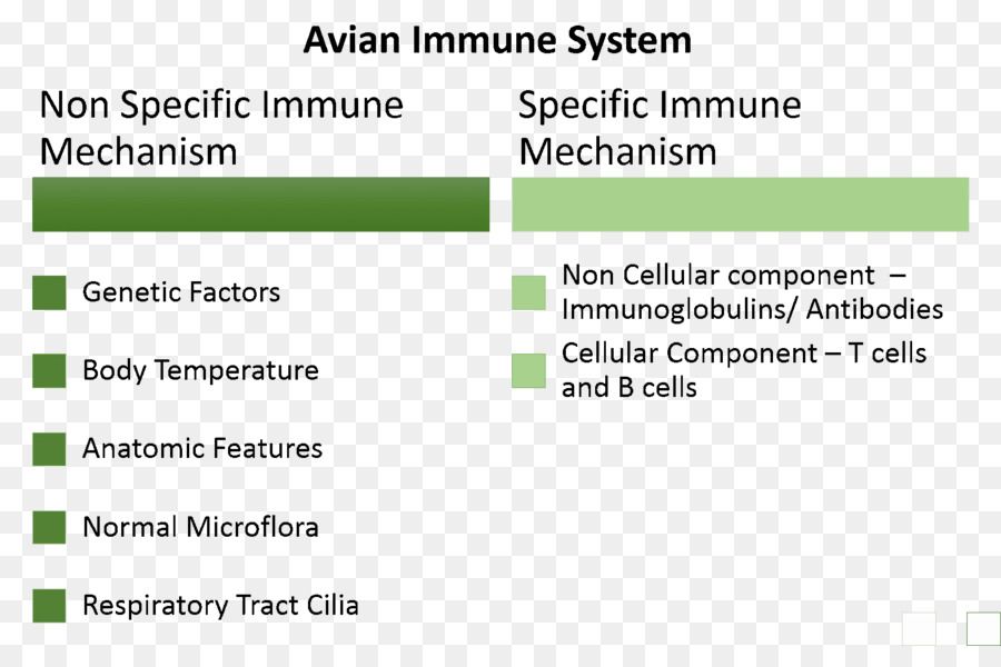 المناعي，الطيور المناعي PNG