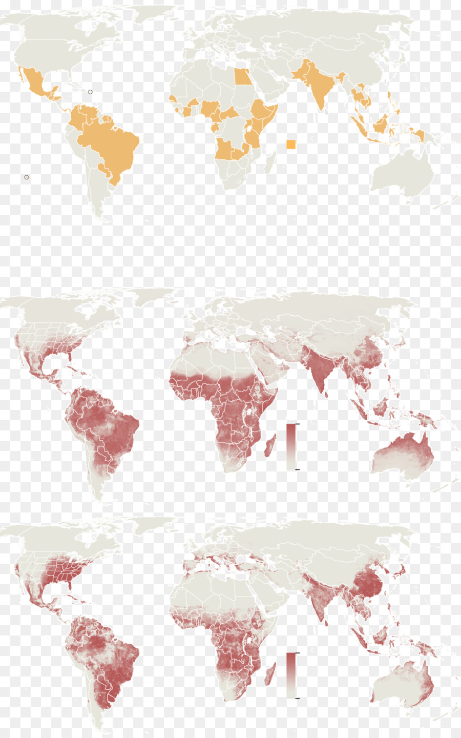 رسم الخرائط，Zika الفيروسات PNG