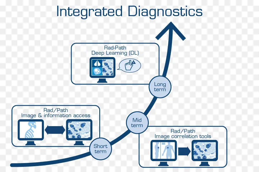 التشخيص المتكامل，طبي PNG