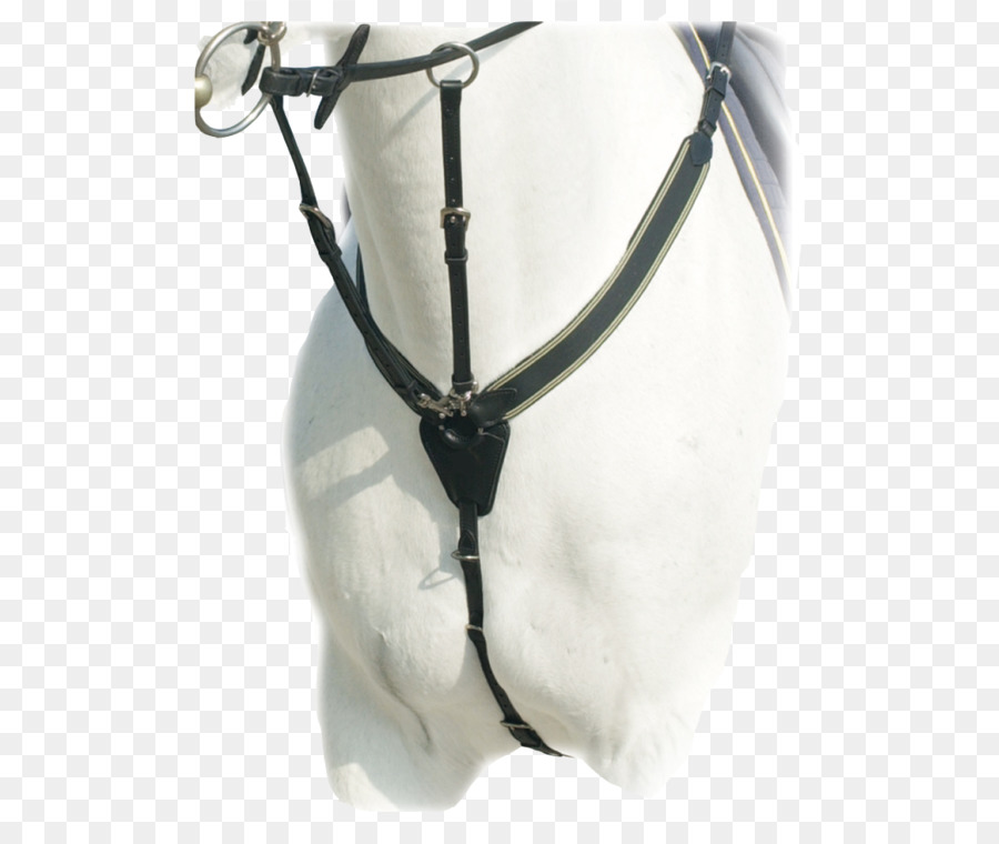 حصان，صدرية PNG
