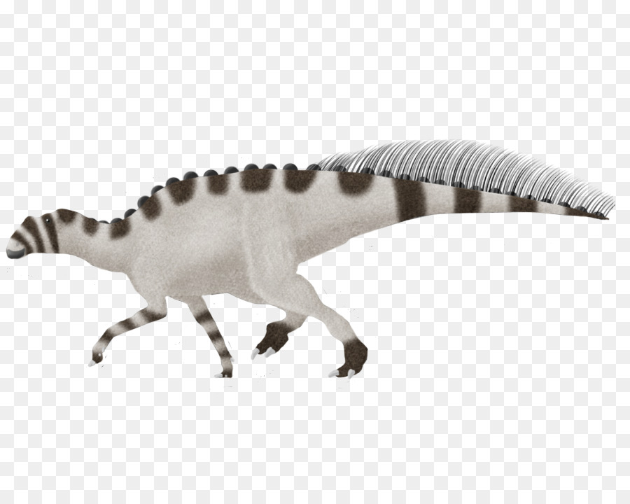 فيلوسيرابتور，الديناصور PNG