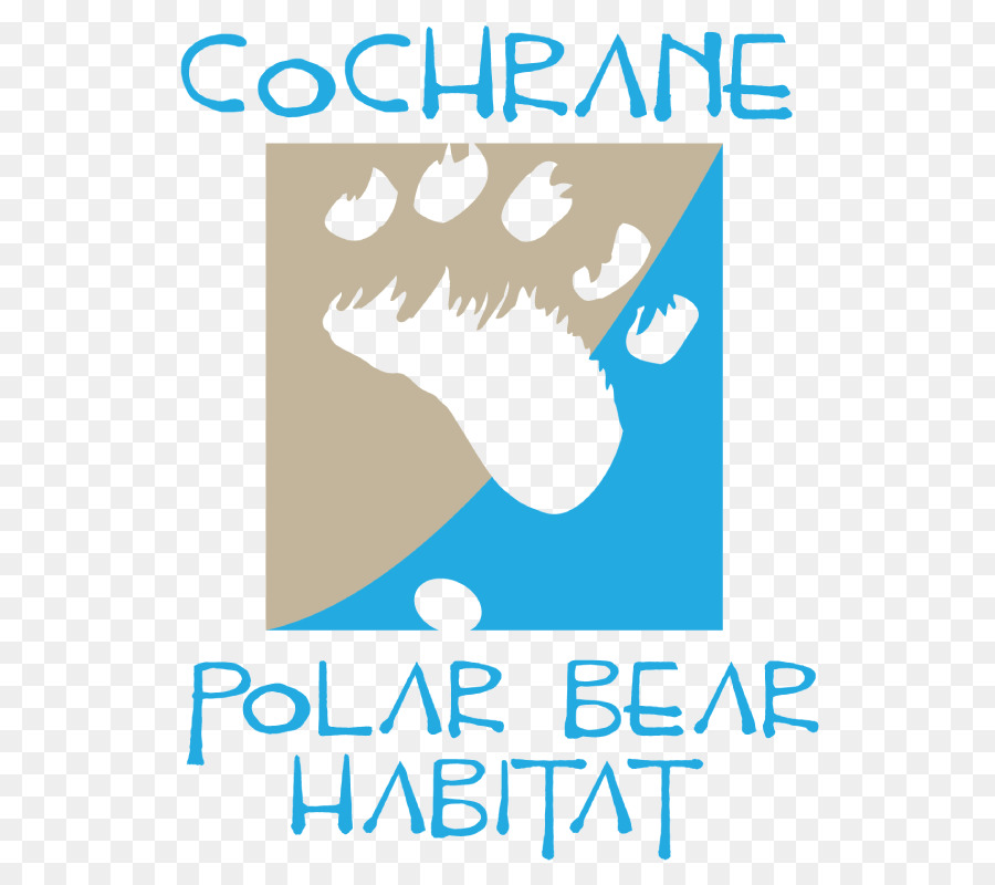 كوكرين موئل الدب القطبي，الدب القطبي PNG