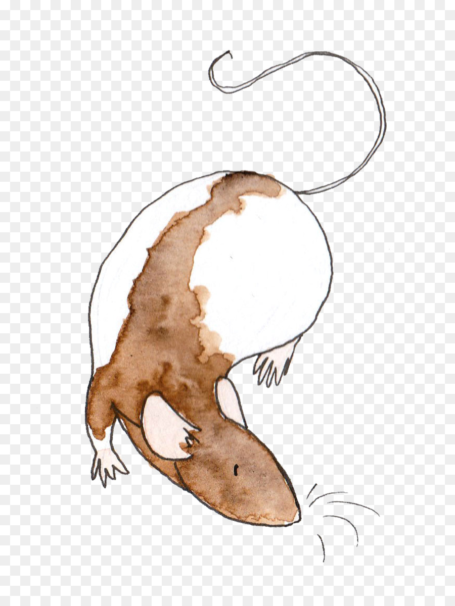 الفأر البني，يتوهم الفئران PNG