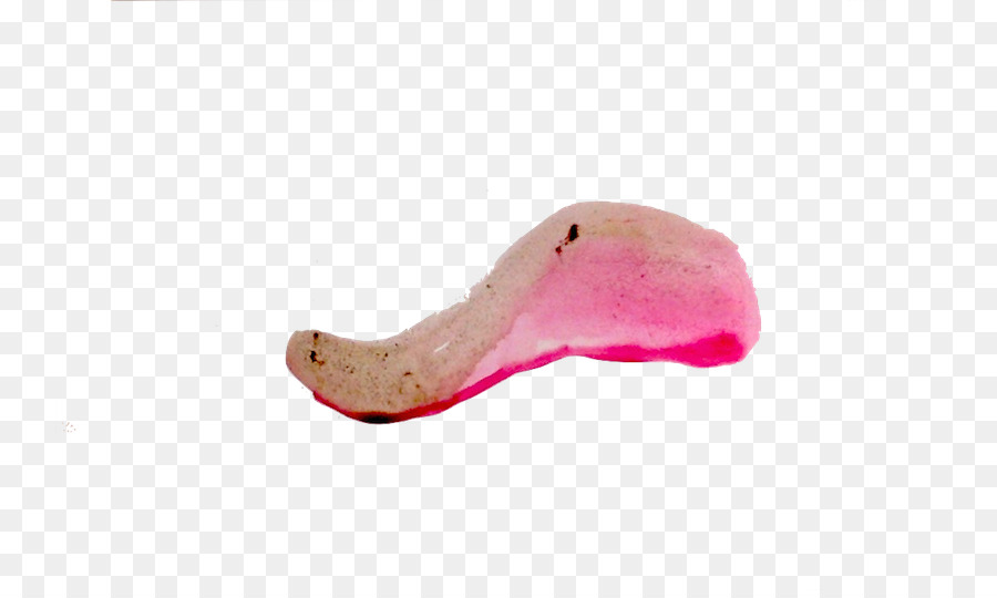 الفم，م الوردي PNG