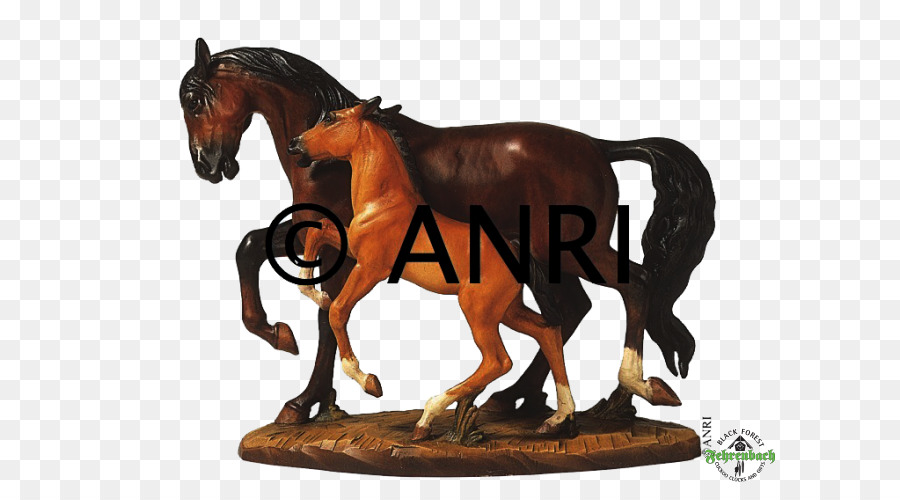 فحل الخيل，فرس PNG