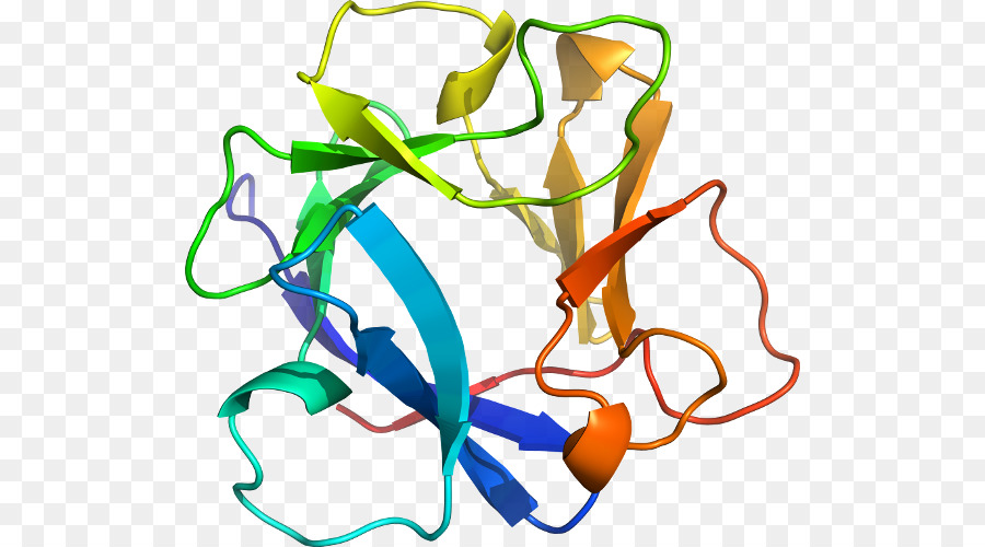 هيكل البروتين，علم الأحياء PNG