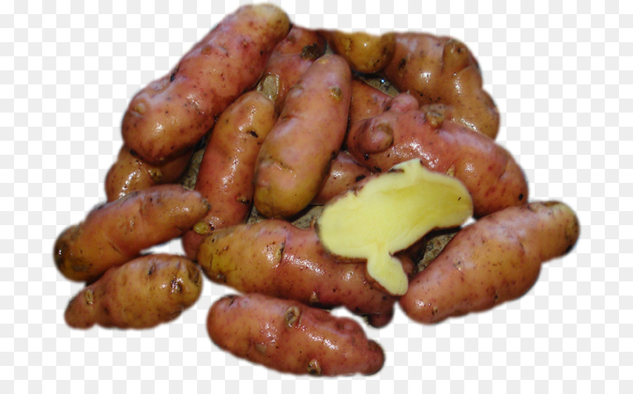 البطاطا الأصابع，Knackwurst PNG