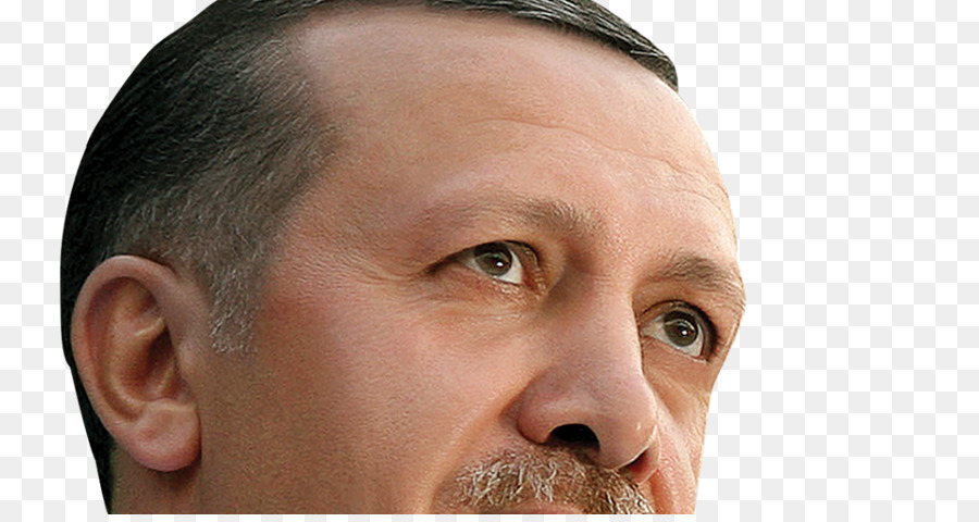 رجب طيب أردوغان，التدخل العسكري التركي في سوريا PNG
