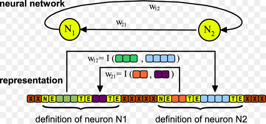 التثبيت العصبي，تطور PNG