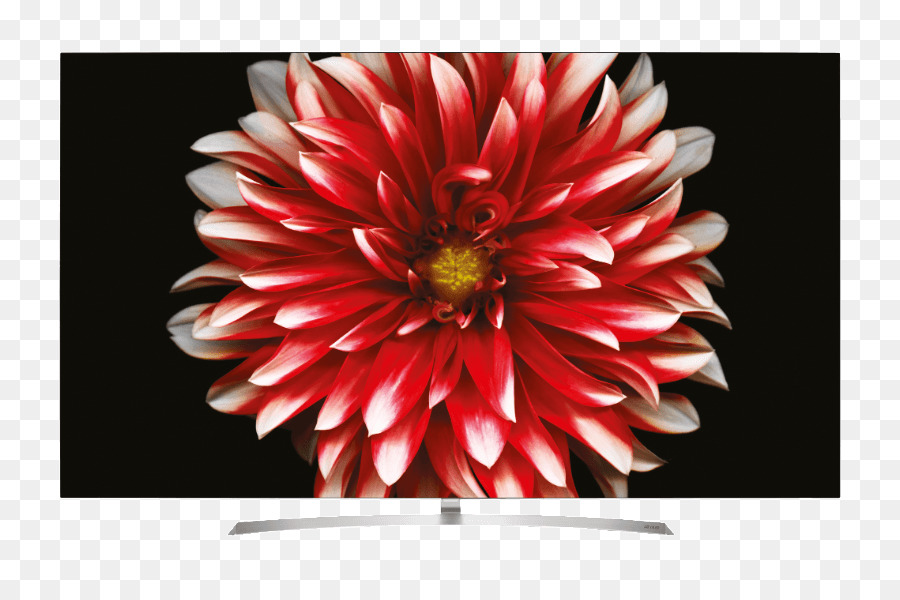 Lg Oled B7d，Oled PNG