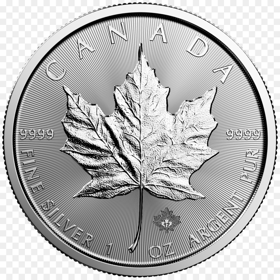 الكندي الفضة ورقة القيقب，الكندي الذهب مابل ليف PNG