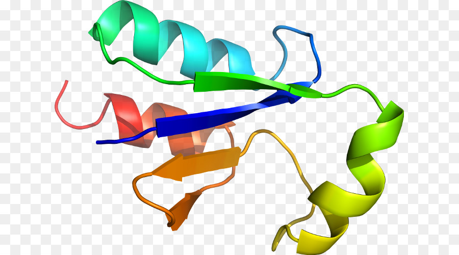 بروتين هيليكس，جزيء PNG